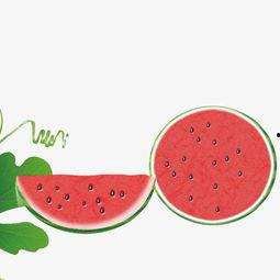 娱乐吃瓜酱素材库下载,吃瓜酱素材库大揭秘，明星幕后故事全收录  第3张